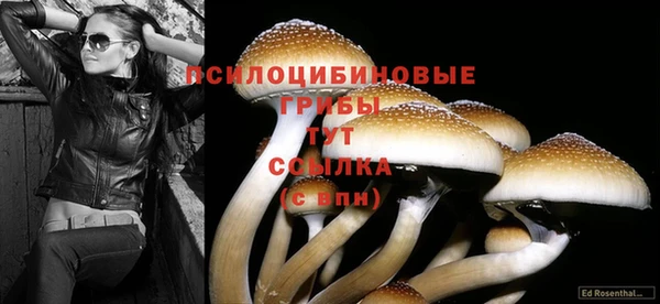 дживик Елизово