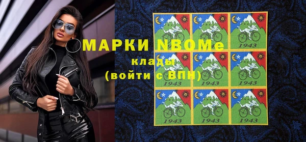 гидра Ельня