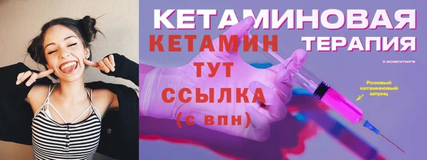 гидра Ельня
