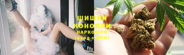 гидра Ельня