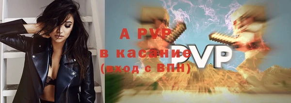гидра Ельня
