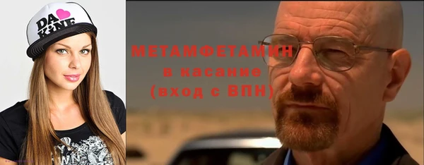 гидра Ельня