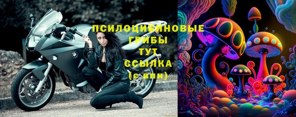 гидра Ельня