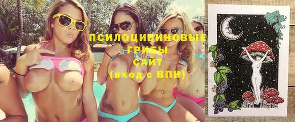 гидра Ельня