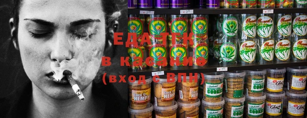 гидра Ельня