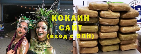 гидра Ельня