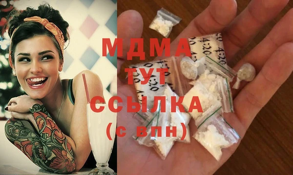 гидра Ельня