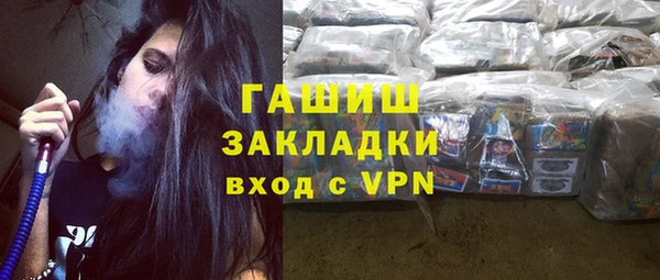 гидра Ельня