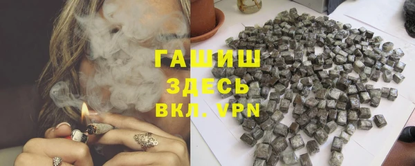 гидра Ельня