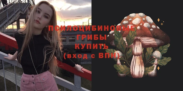гидра Ельня