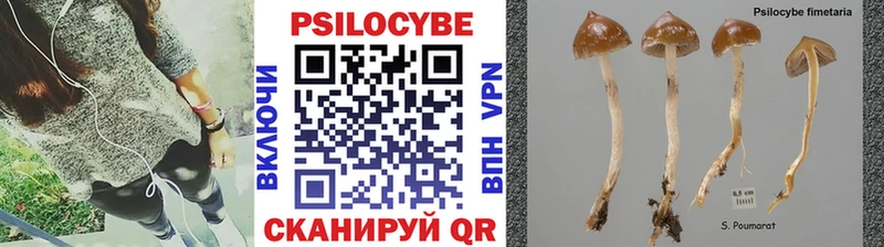 Галлюциногенные грибы Psilocybine cubensis  ОМГ ОМГ как зайти  Чистополь 