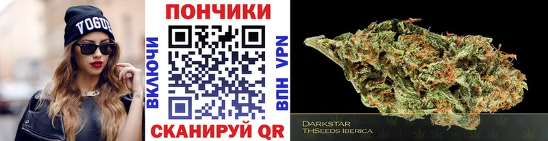 где можно купить наркотик  Чистополь  Конопля индика 